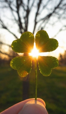 Nové „zázračné“ slovo – MANIFESTÁCIA: keď sa sny stretnú s činmi | Lagomstore Filozofia 