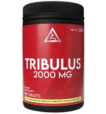 Lazar Angelov TRIBULUS 2000 mg Lazar Angelov TRIBULUS 2000 mg
