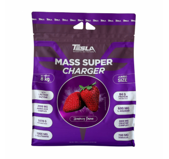 TESLA MASS SUPER CHARGER 8 kg